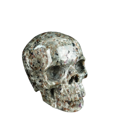 4.5" Yooperlite Crystal Skull Carving - Unique Piece #YP01