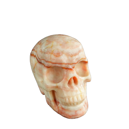 4.5" Zebra Jasper Crystal Skull Carving - Unique Piece #ZS01