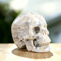 3.0" Crazy Lace Agate Crystal Skull Carving  #SKH30039