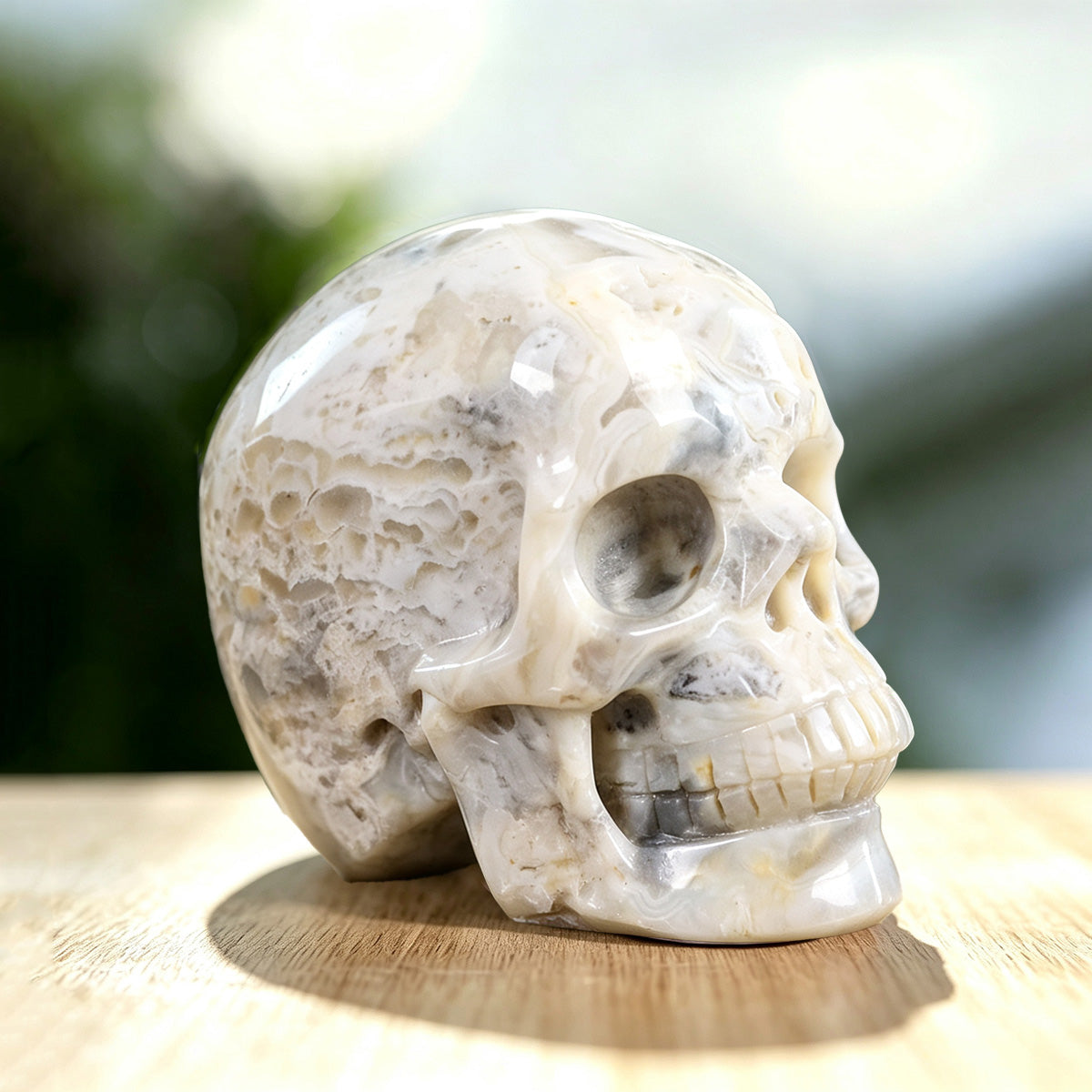 3.0" Crazy Lace Agate Crystal Skull Carving  #SKH30039