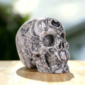 3.0" Crocodile Jasper Crystal Skull Carving  #SKH30036