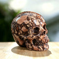 3.0" Coffee Stone Crystal Skull Carving  #SKH30059