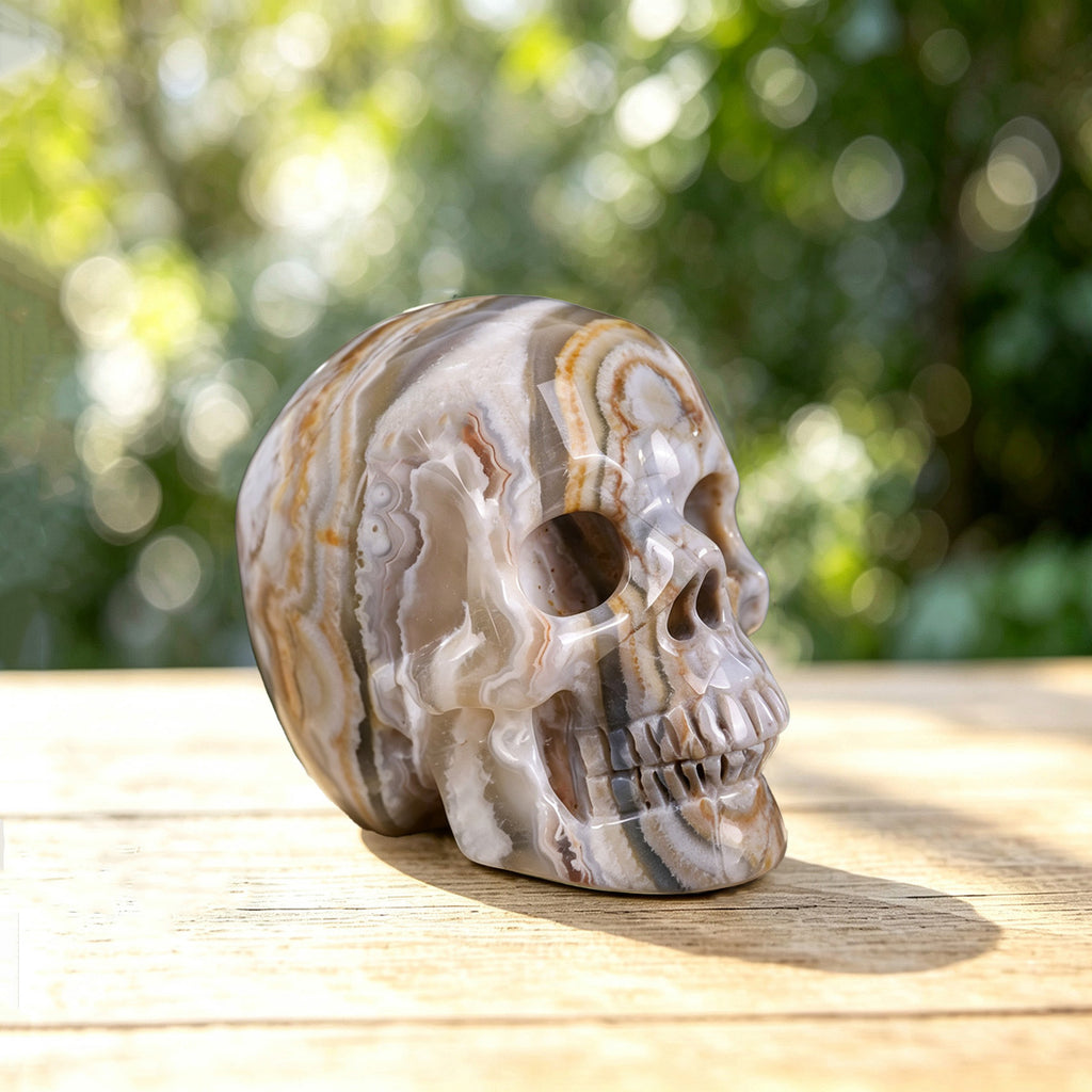 2.2" Red Crazy Lace Agate Crystal Skull Carving  #SKH22035