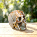 2.2" African Bloodstone Crystal Skull Carving  #SKH22036