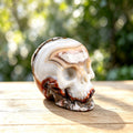 2.2" Red Crazy Lace Agate Human Skull Carving  #SKH22009