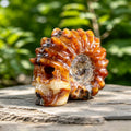 2.3" Foraminifera Fossil Skull Carving  #SCS0021