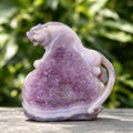 5.2" Amethyst Druse Agate Leopard Carving  #GDC0016