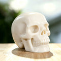 3.0" White Jade Crystal Skull Carving  #SKH30052