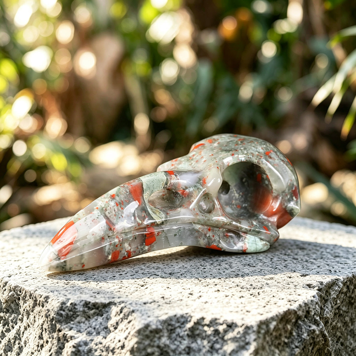 4.6" African Bloodstone Raven Skull Carving  #CSC0011