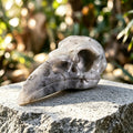 4.6" Labradorite Raven Skull Carving  #CSC0019