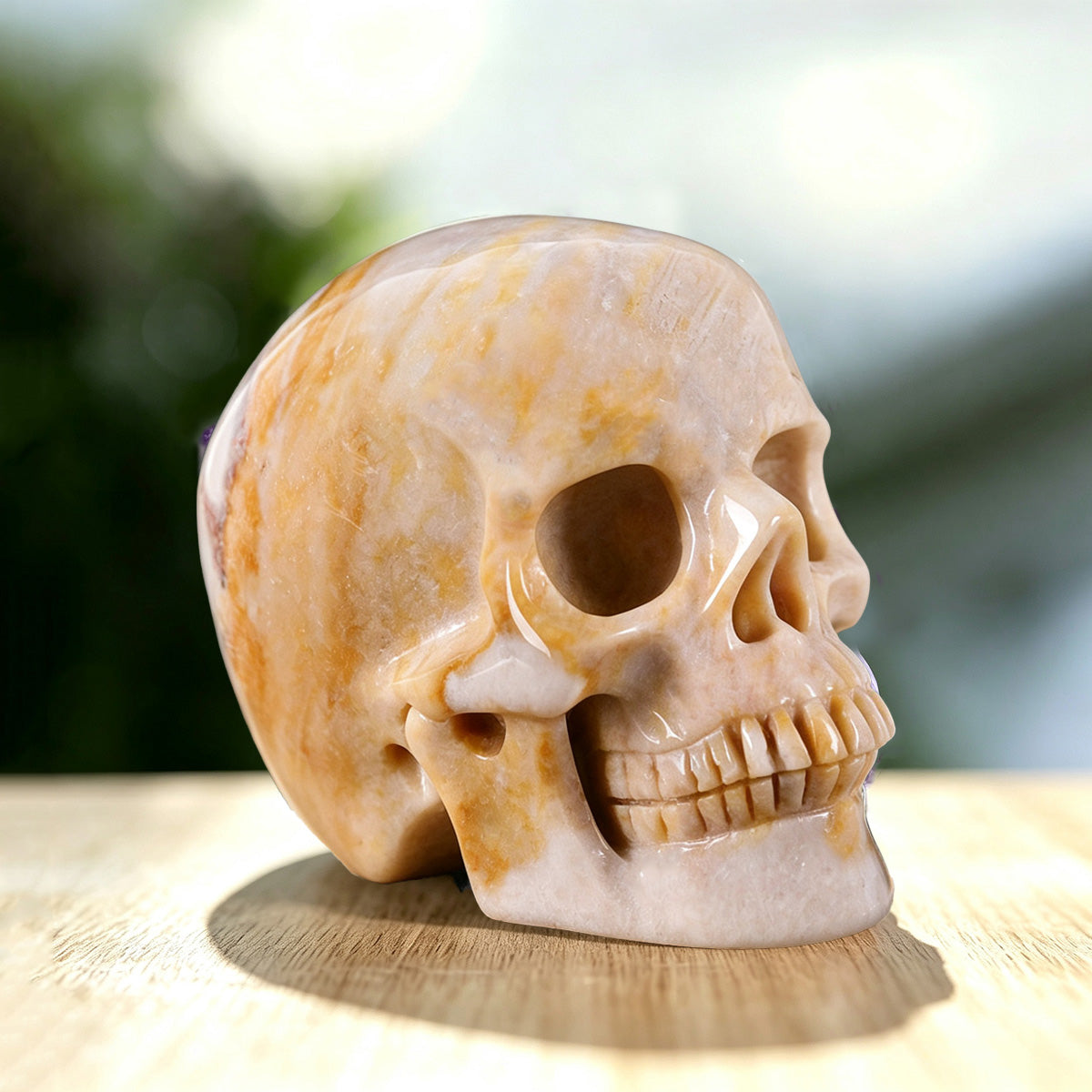 3.0" Coral Fossil Jade Human Skull Carving  #SKH30018