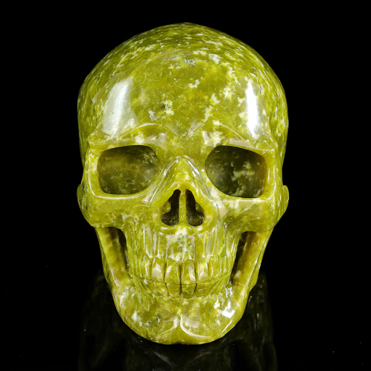 8.0" Serpentine Jade Crystal Skull Carving  #SCS0025