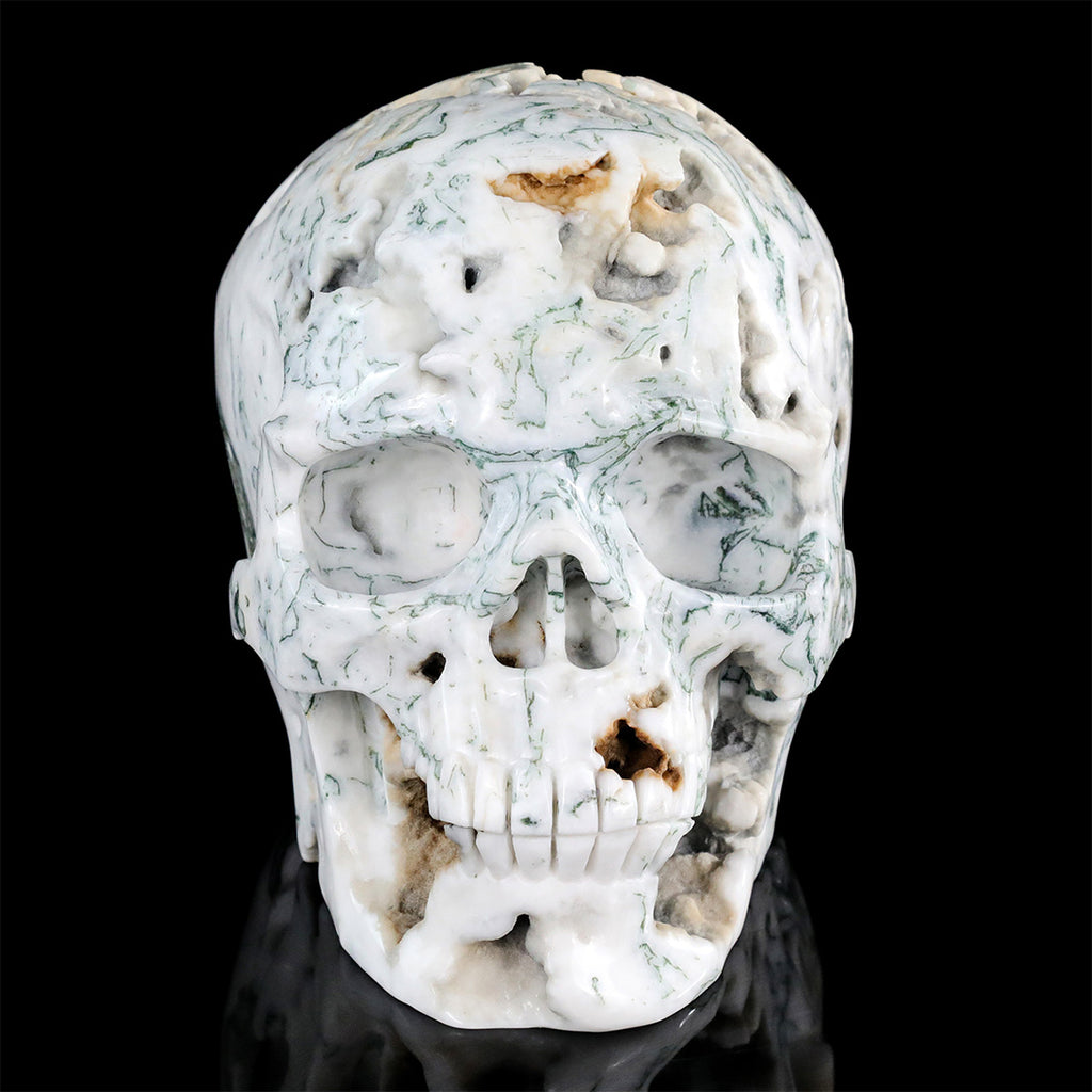 9.0" Moss Agate Crystal Skull Carving  #SCS0029