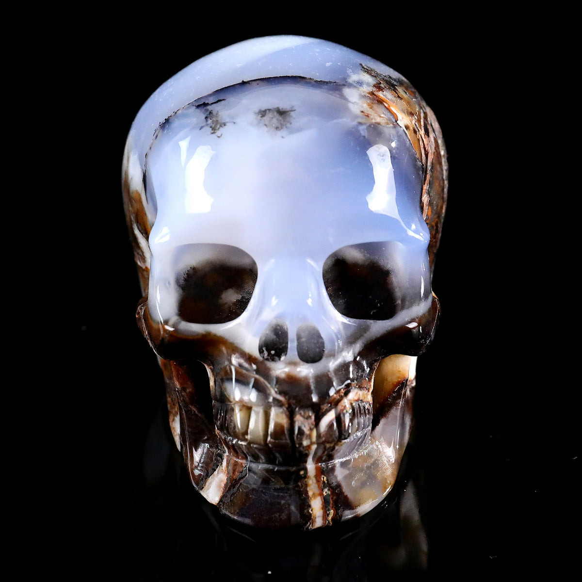 3.0" Blue Chalcedony Crystal Skull Carving  #SKH30106