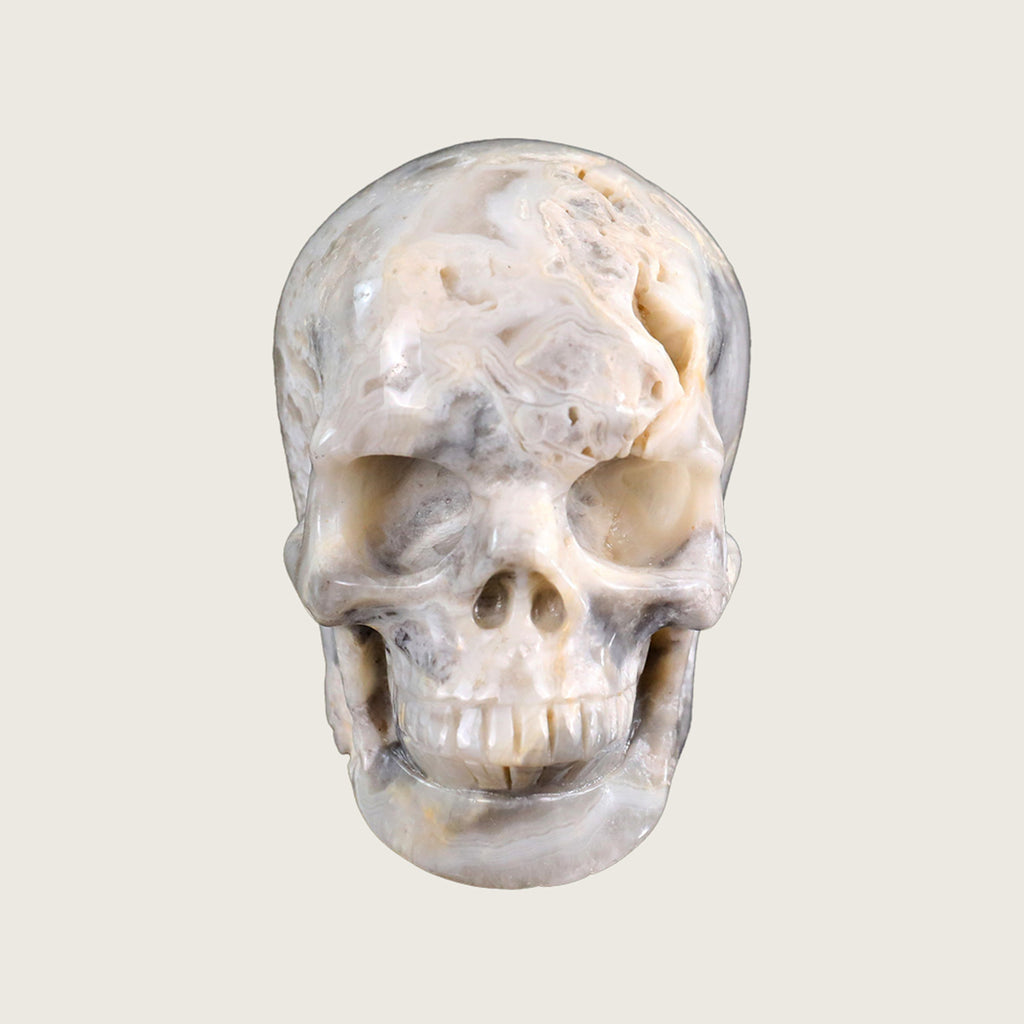 3.0" Crazy Lace Agate Crystal Skull Carving  #SKH30039