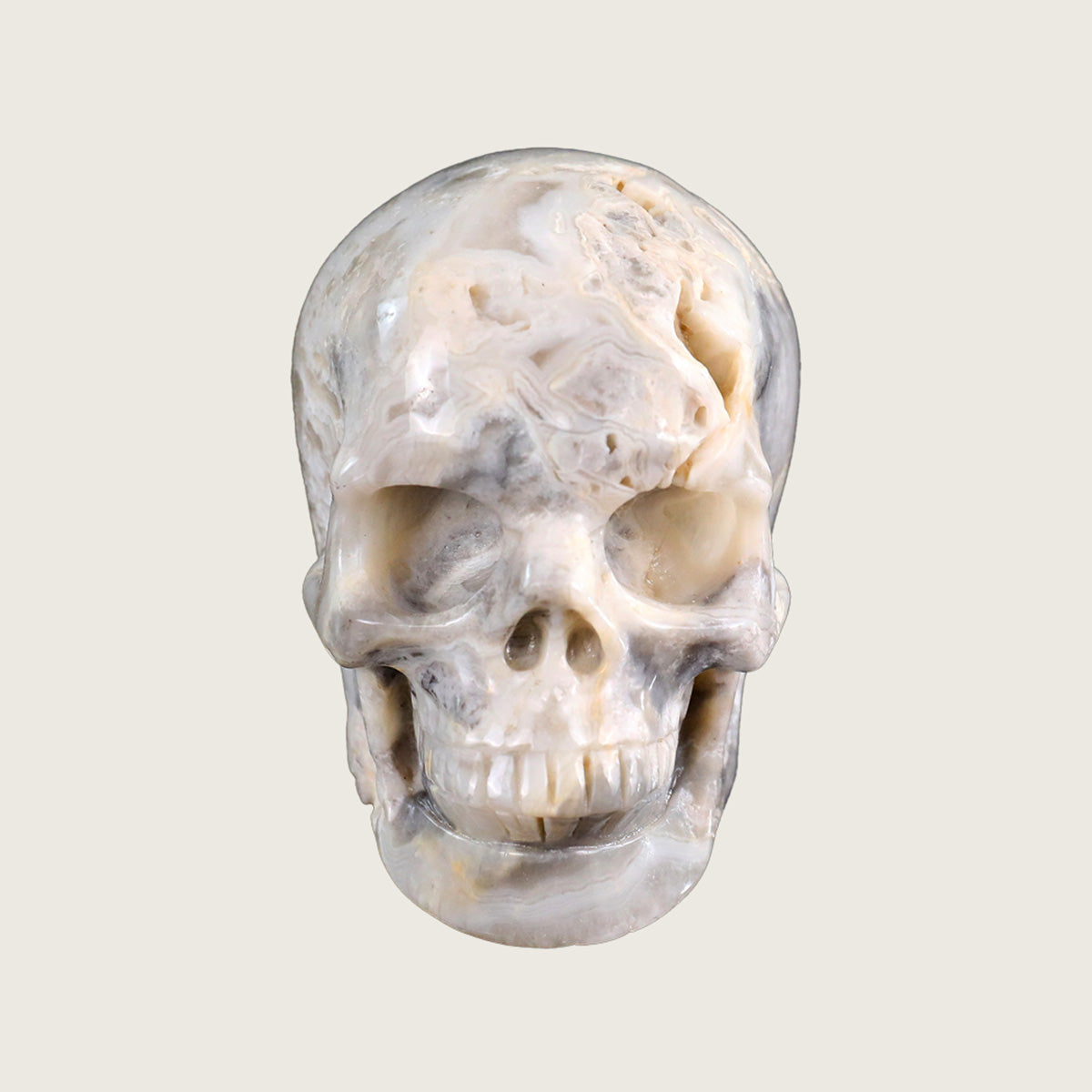 3.0" Crazy Lace Agate Crystal Skull Carving  #SKH30039