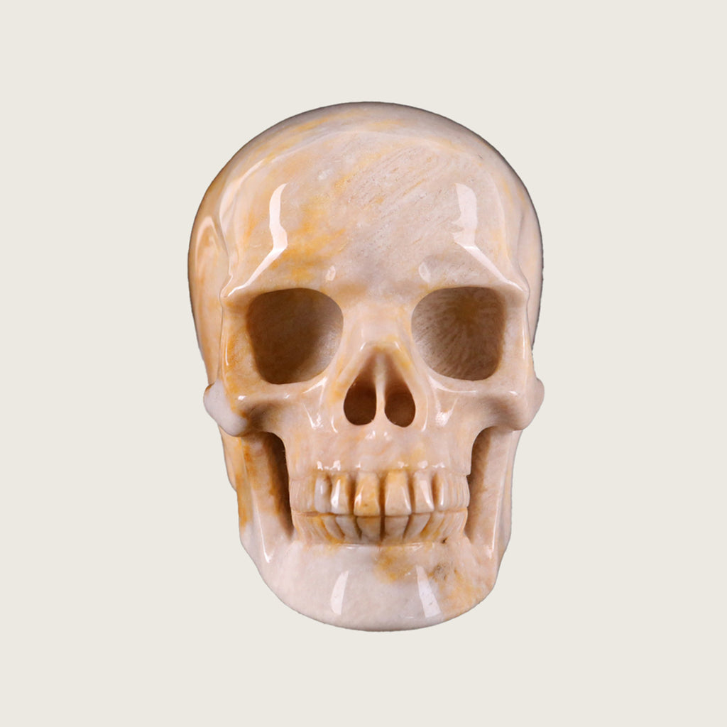 3.0" Coral Fossil Jade Human Skull Carving  #SKH30018