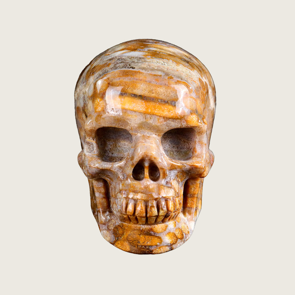 3.0" Coral Fossil Jade Crystal Skull Carving  #SKHCF3001