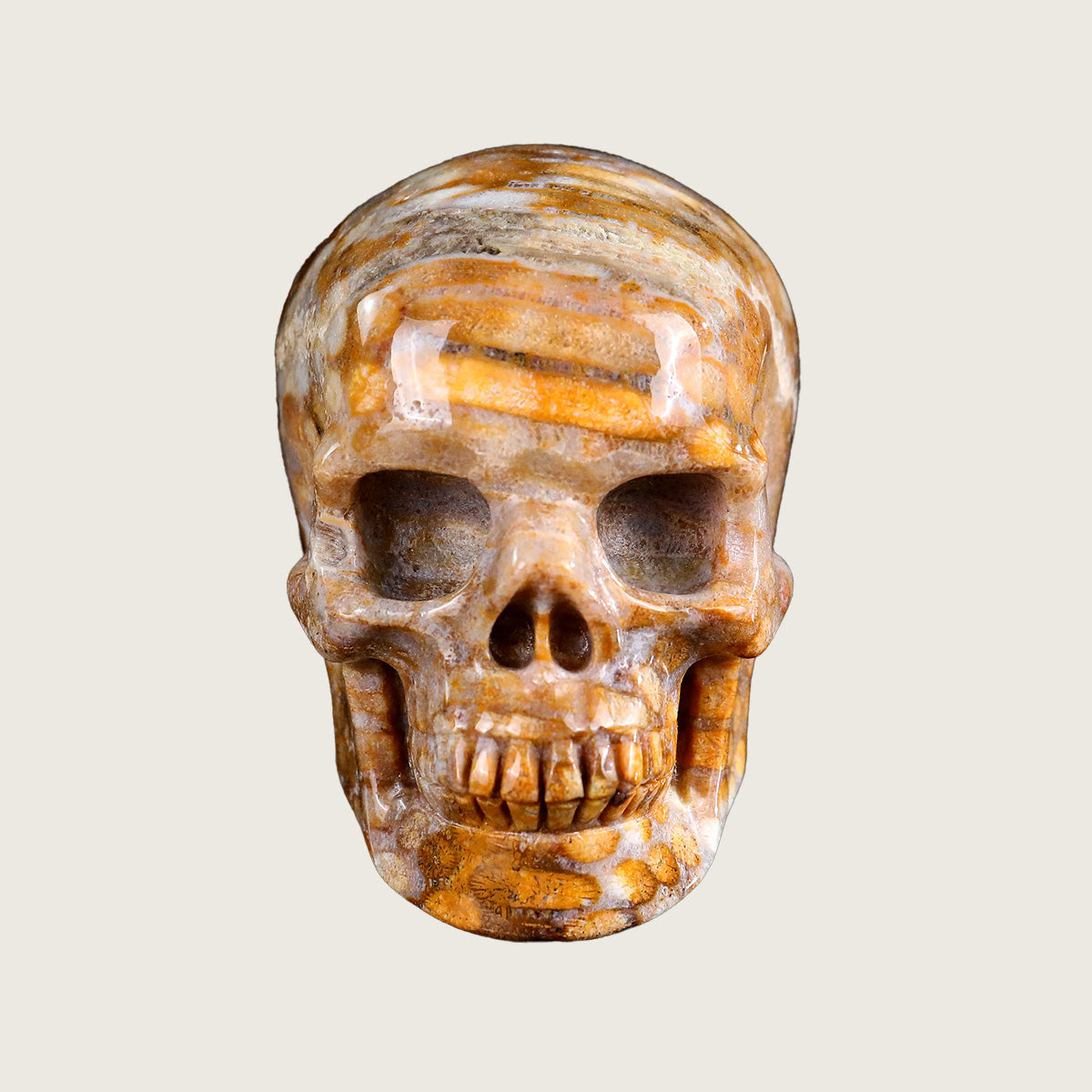 3.0" Coral Fossil Jade Crystal Skull Carving  #SKHCF3001