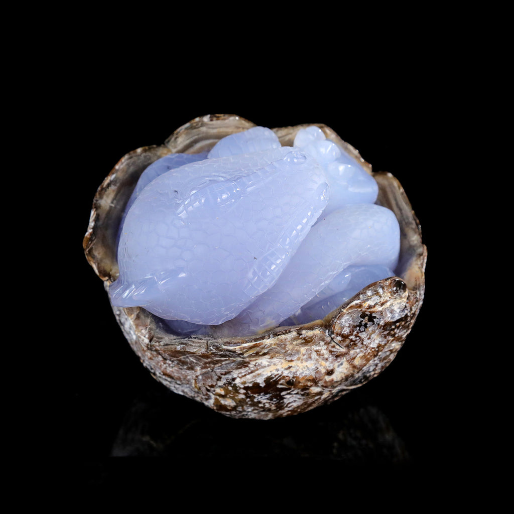 5.2" Blue Chalcedony Baby Dinosaur Carving  #CTC0080