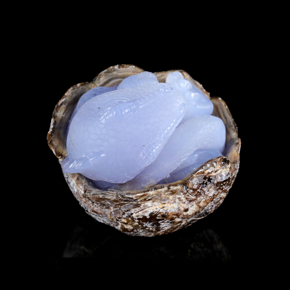 4.0" Blue Chalcedony Baby Dinosaur Carving  #CTC0079