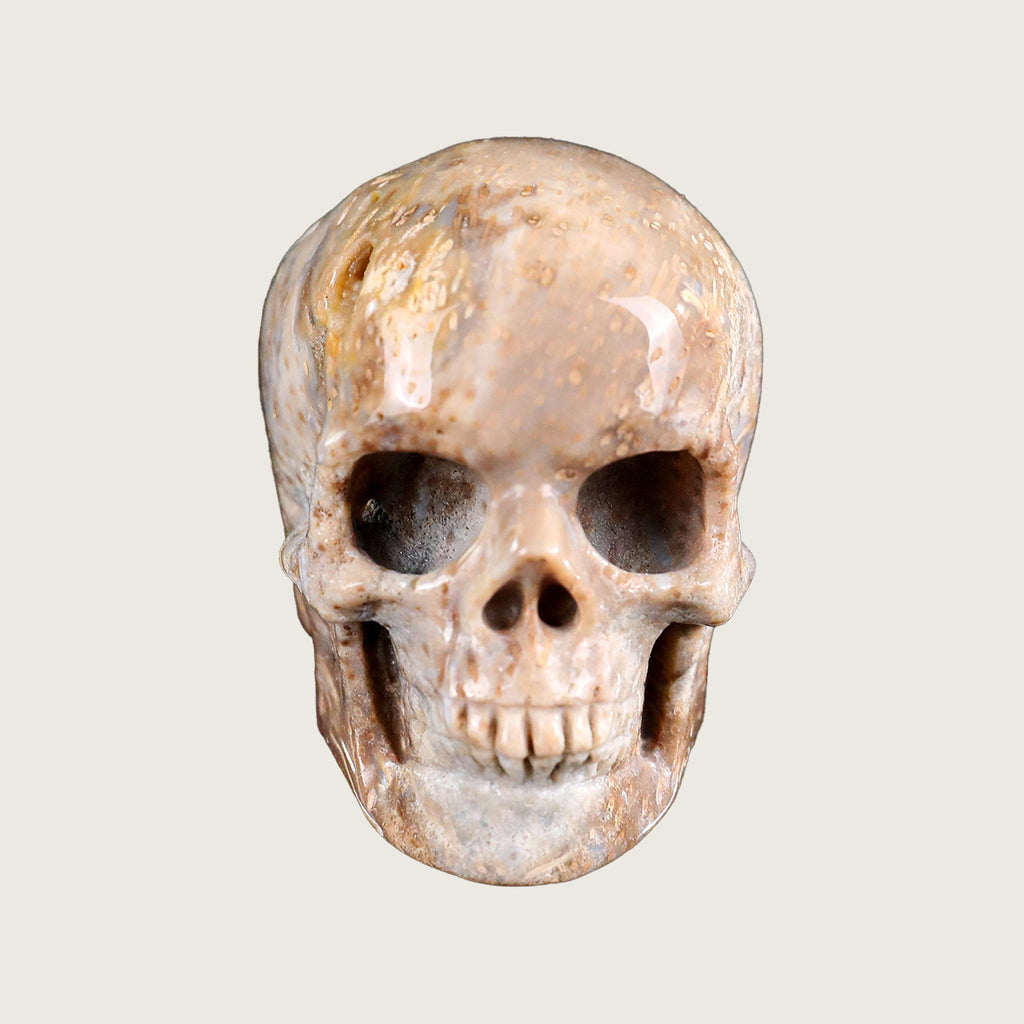 2.2" Coral Fossil Jade Crystal Skull Carving  #SKHCF2201