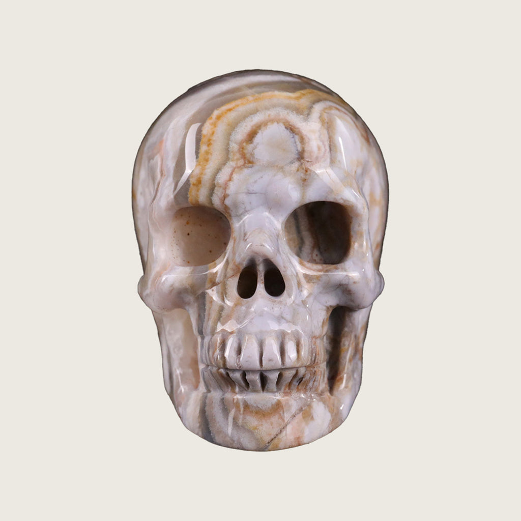 2.2" Red Crazy Lace Agate Crystal Skull Carving  #SKH22035