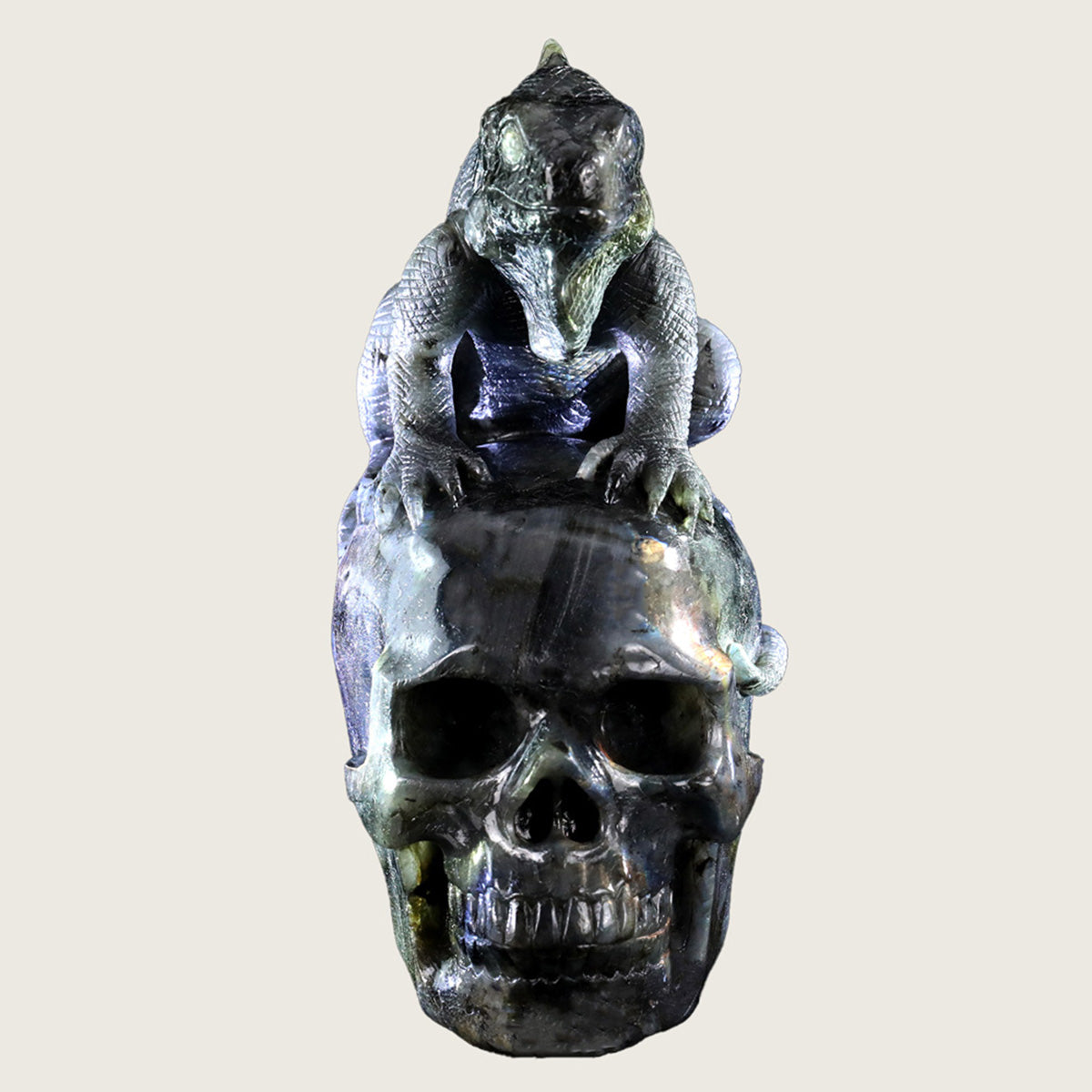 5.0" Labradorite Skull & Lizard Carving  #SCS0007