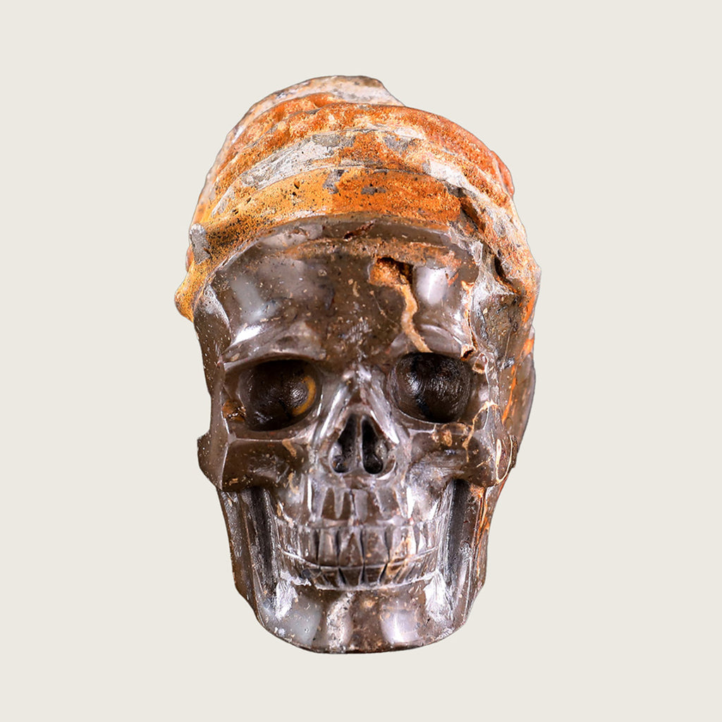 5.6" Snail Spiral Fossil Skull Carving  #SCS0001