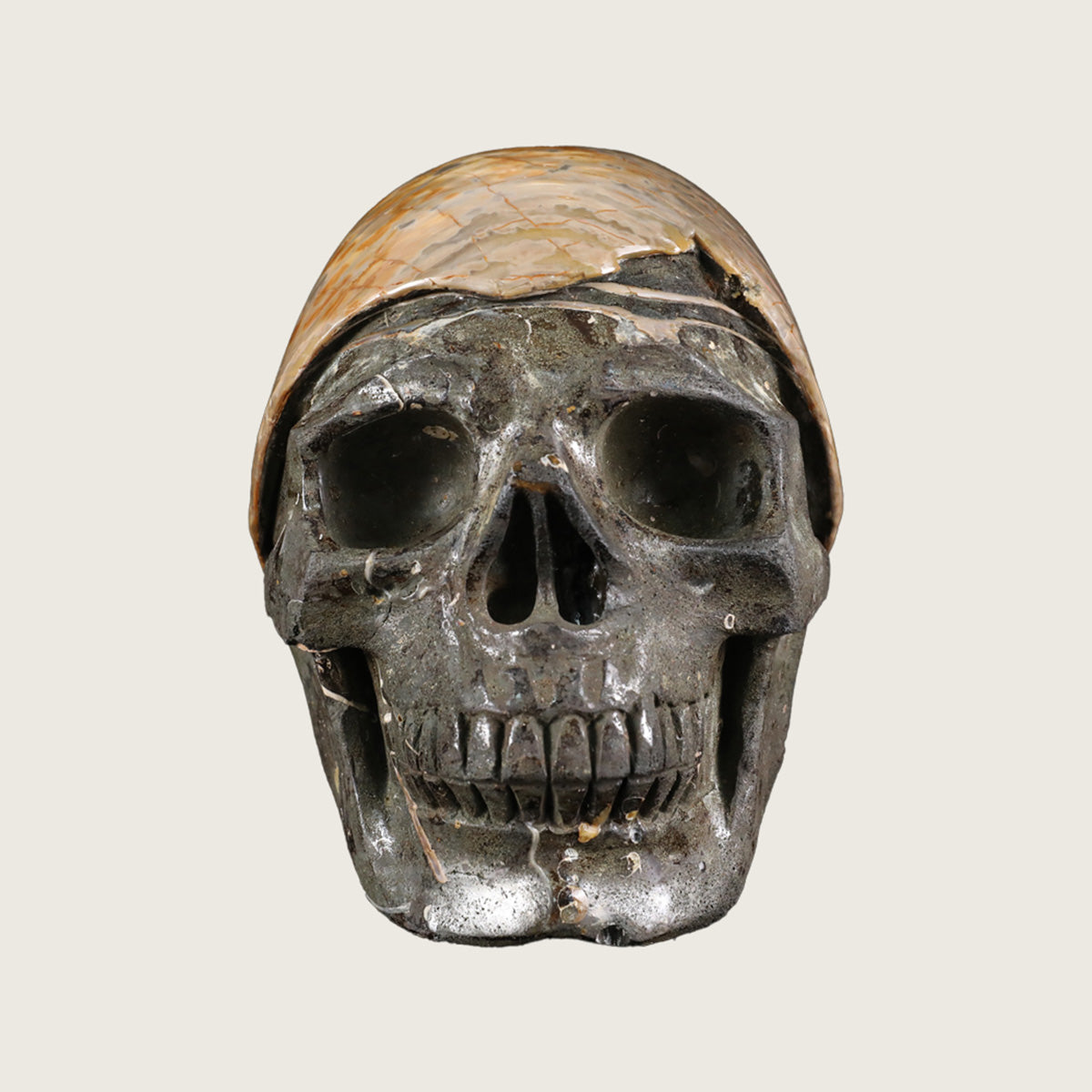 6.5" Snail Spiral Fossil Skull Carving  #SCS0022