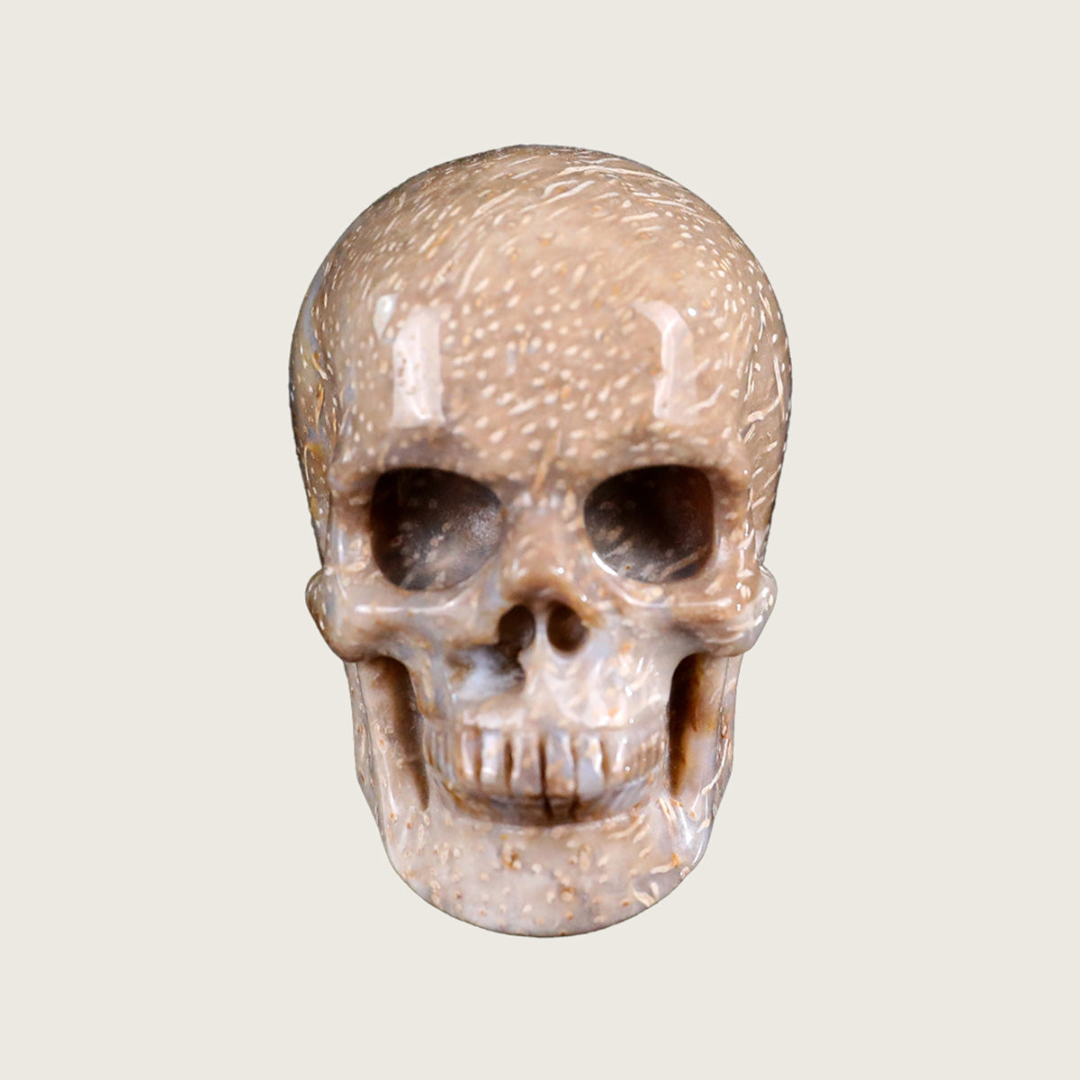 2.2" Coral Fossil Jade Human Skull Carving  #SKH22011