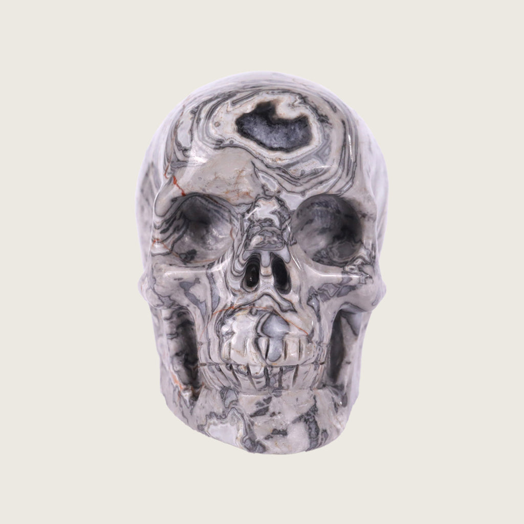 3.0" Crocodile Jasper Crystal Skull Carving  #SKH30036