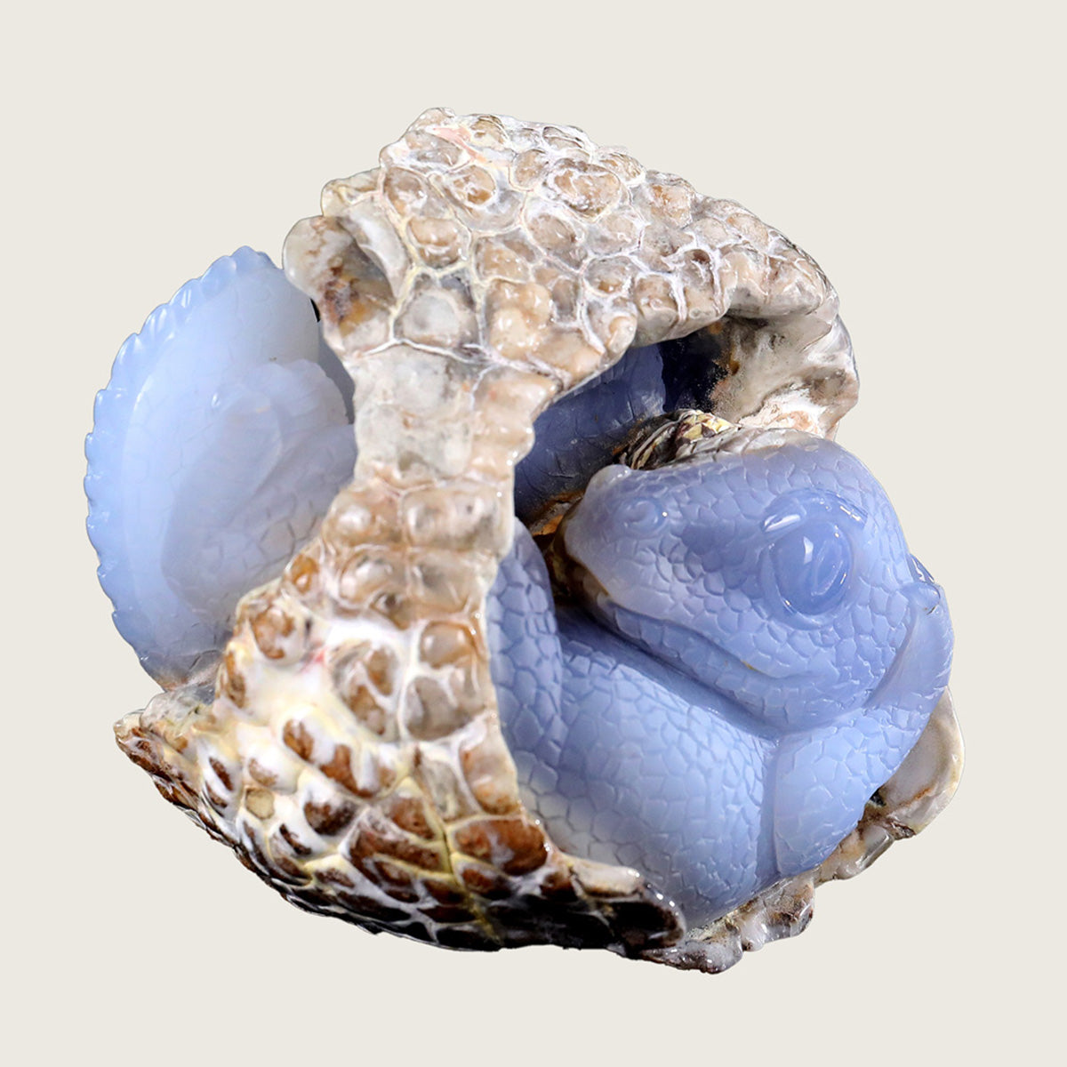 5.1" Blue Chalcedony Baby Dragon Carving  #CTC0015
