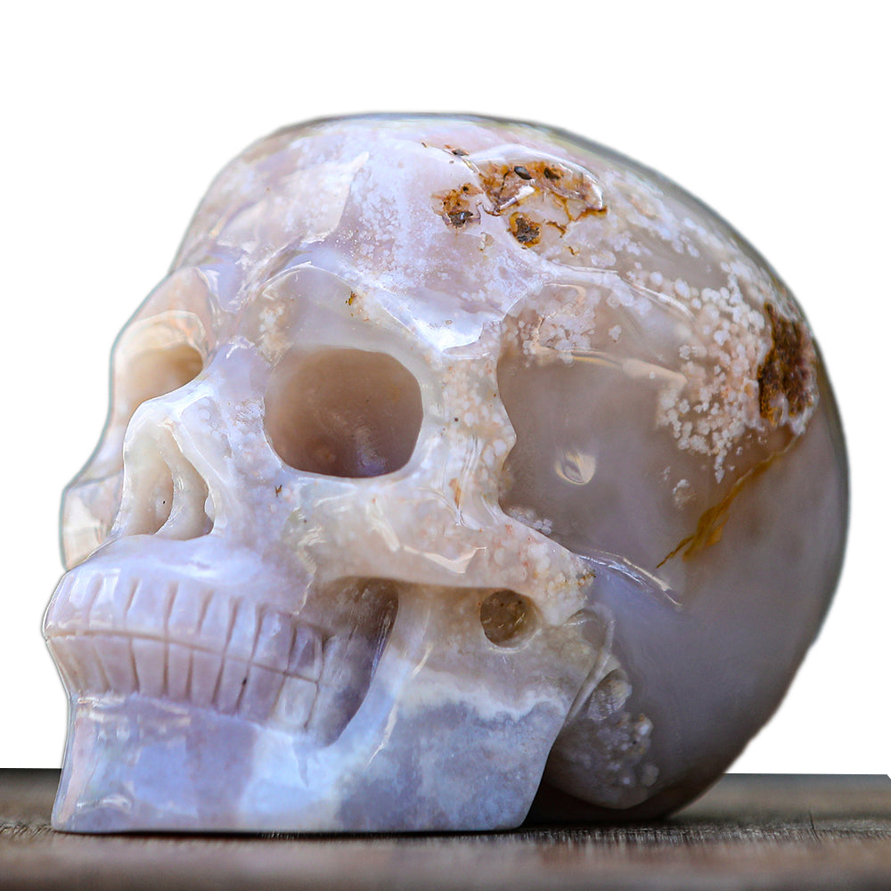 5.7" Cherry Blossom Agate Human Skull Carving - Unique Piece #2100001
