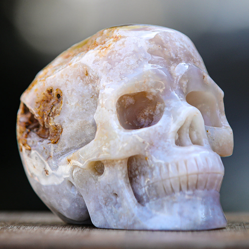 5.7" Cherry Blossom Agate Human Skull Carving - Unique Piece #2100001