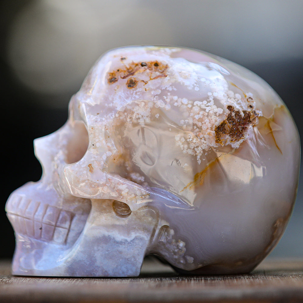 5.7" Cherry Blossom Agate Human Skull Carving - Unique Piece #2100001