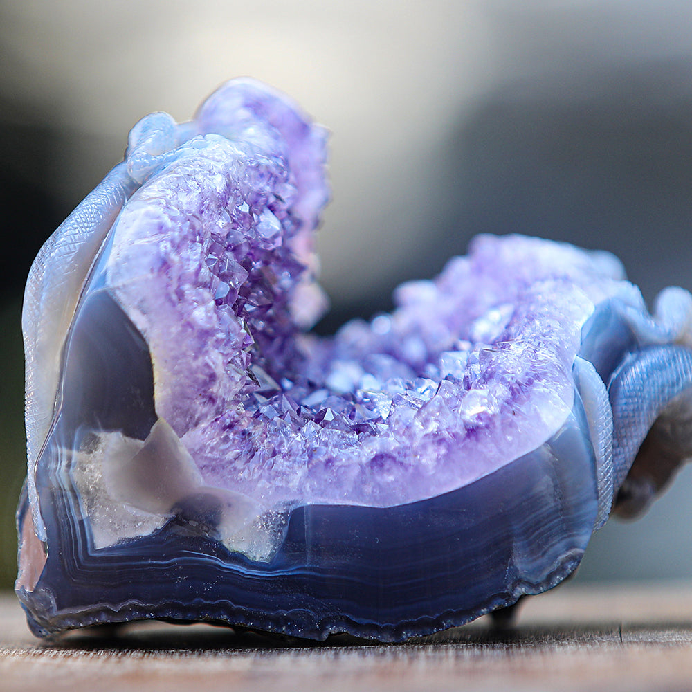 5.0" Amethyst Cluster Geode Double Lizard Carving - Unique Piece #2100005