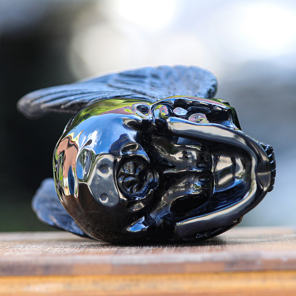 7.1" Obsidian Human Skull with Wings Carving - Unique Piece #2100039