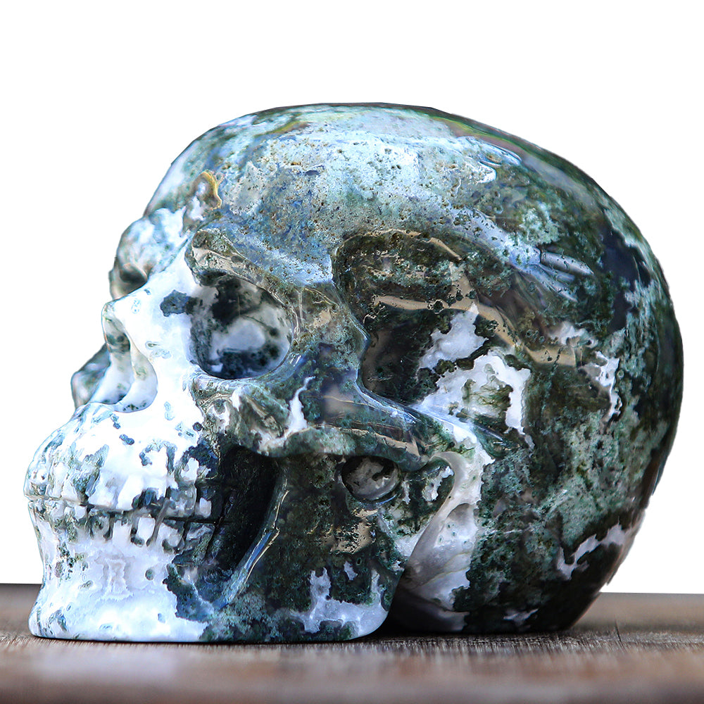 5.4" Moss Agate Human Skull Carving - Unique Piece #2100174