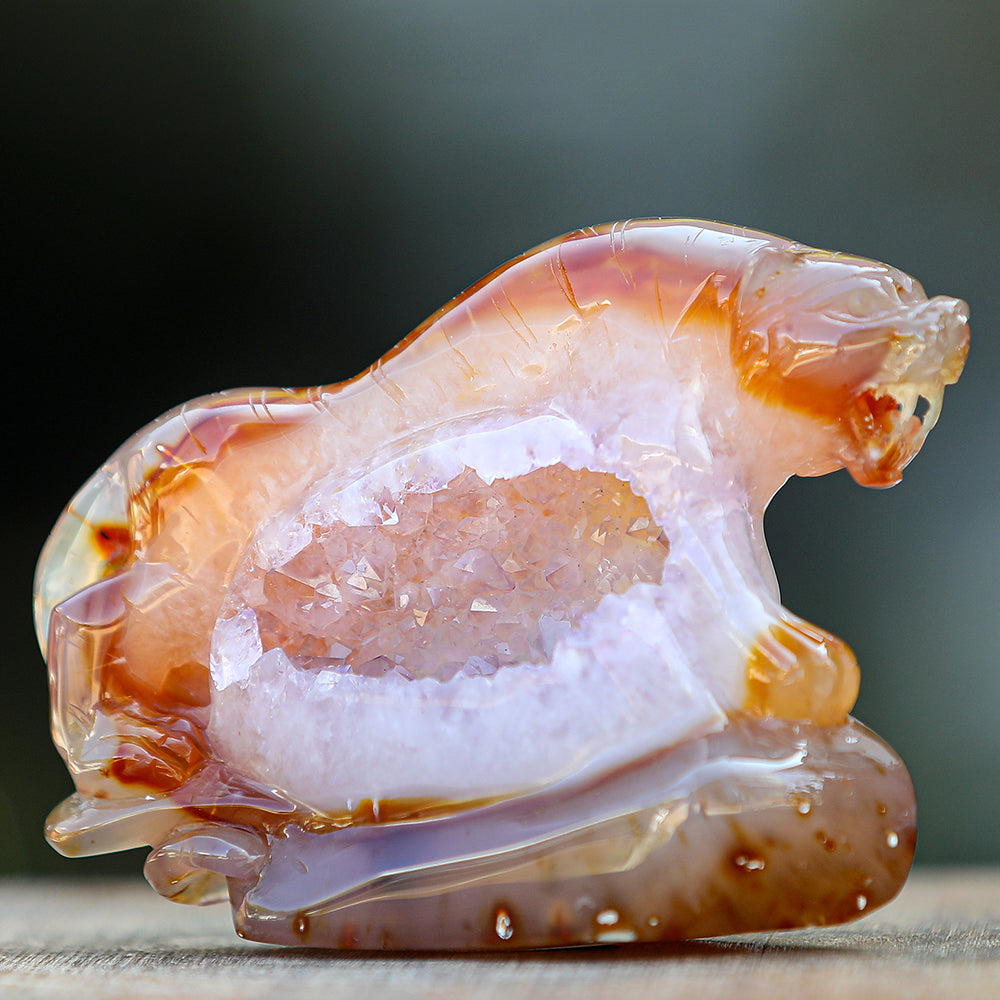 5.6" Red Agate Geode Tiger Carving - Unique Piece #2100176