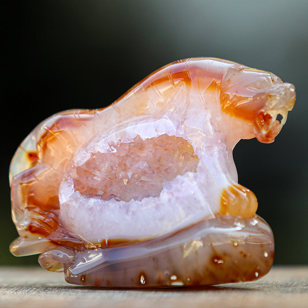 5.6" Red Agate Geode Tiger Carving - Unique Piece #2100176