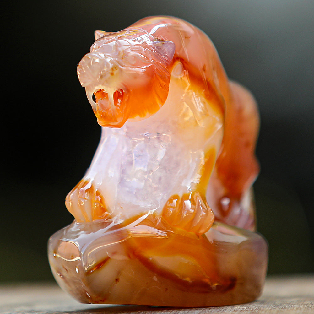 5.6" Red Agate Geode Tiger Carving - Unique Piece #2100176