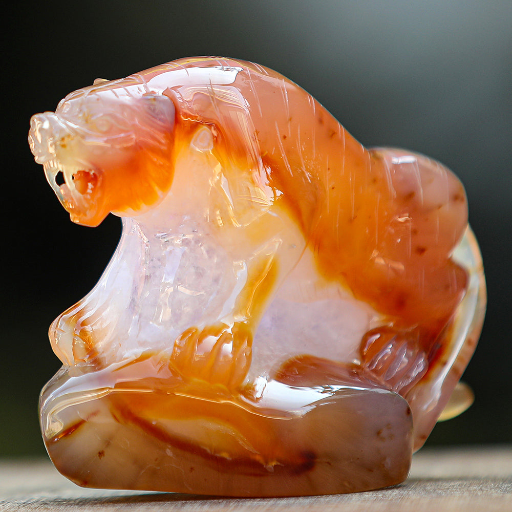 5.6" Red Agate Geode Tiger Carving - Unique Piece #2100176