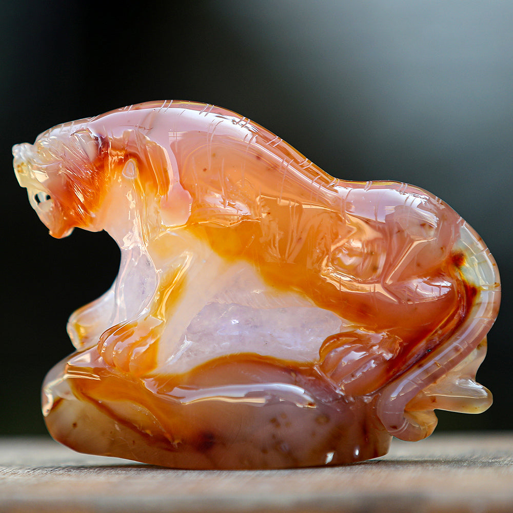 5.6" Red Agate Geode Tiger Carving - Unique Piece #2100176