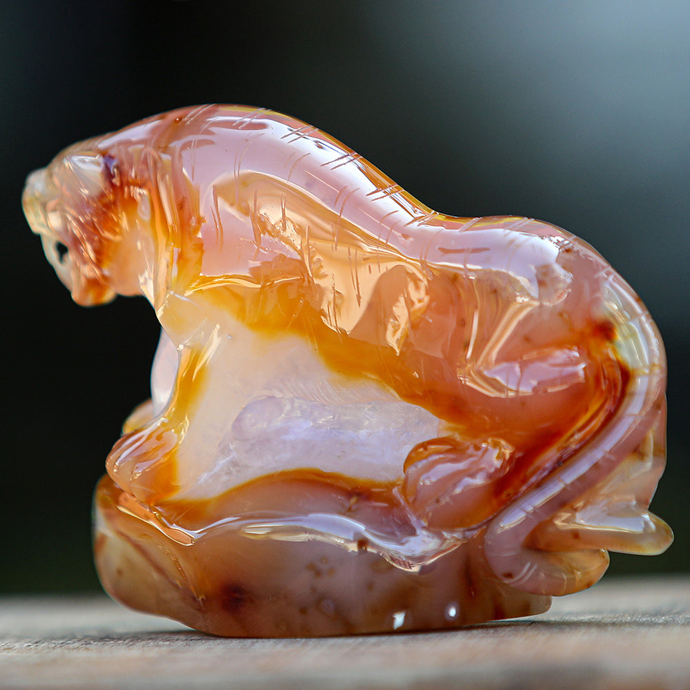 5.6" Red Agate Geode Tiger Carving - Unique Piece #2100176