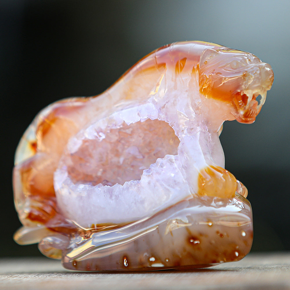 5.6" Red Agate Geode Tiger Carving - Unique Piece #2100176