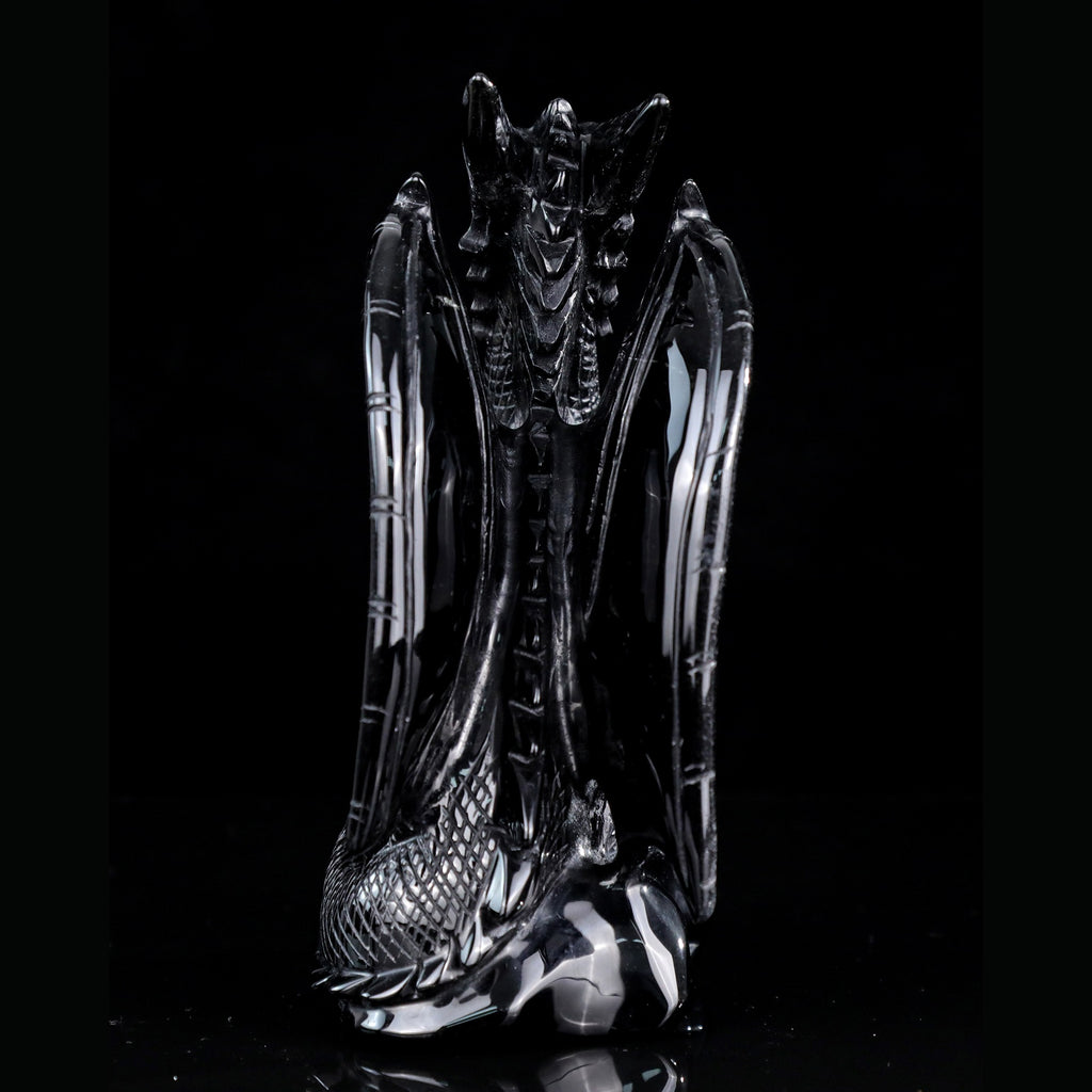 7.9" Black Obsidian Pterosaur Carving  #CTC0079