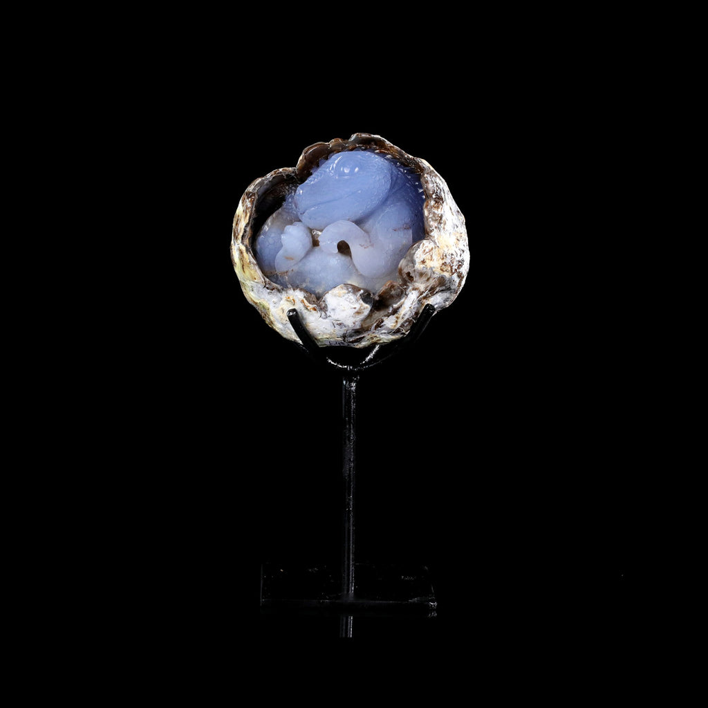 5.3" Blue Chalcedony Baby Dinosaur Carving  #CTC0081