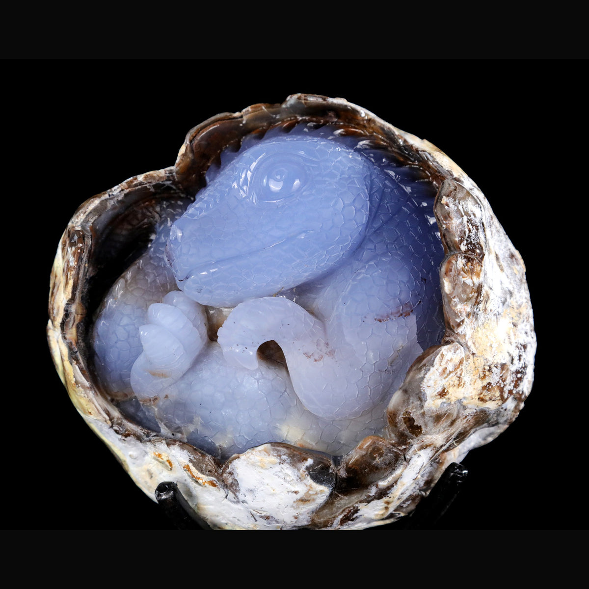 5.3" Blue Chalcedony Baby Dinosaur Carving  #CTC0080