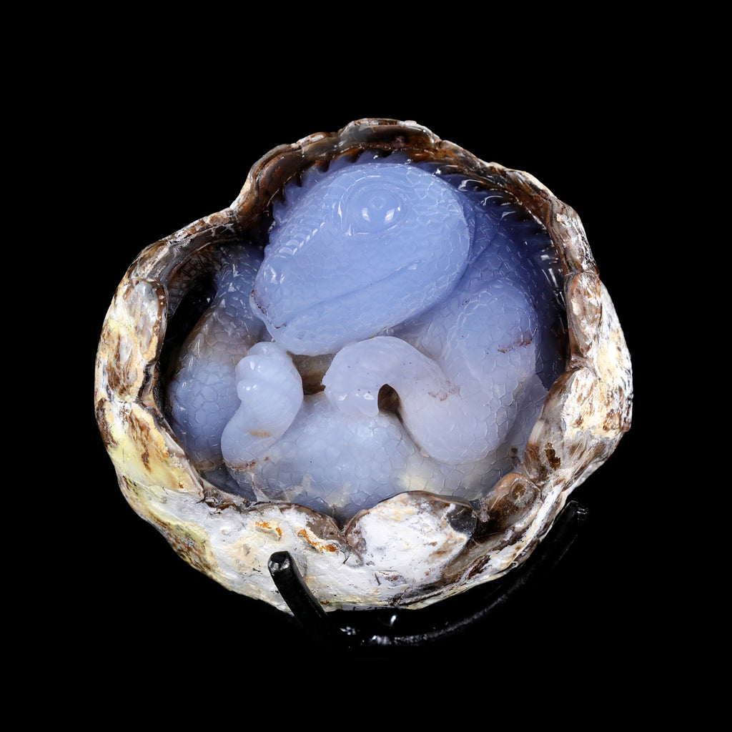 5.3" Blue Chalcedony Baby Dinosaur Carving  #CTC0081